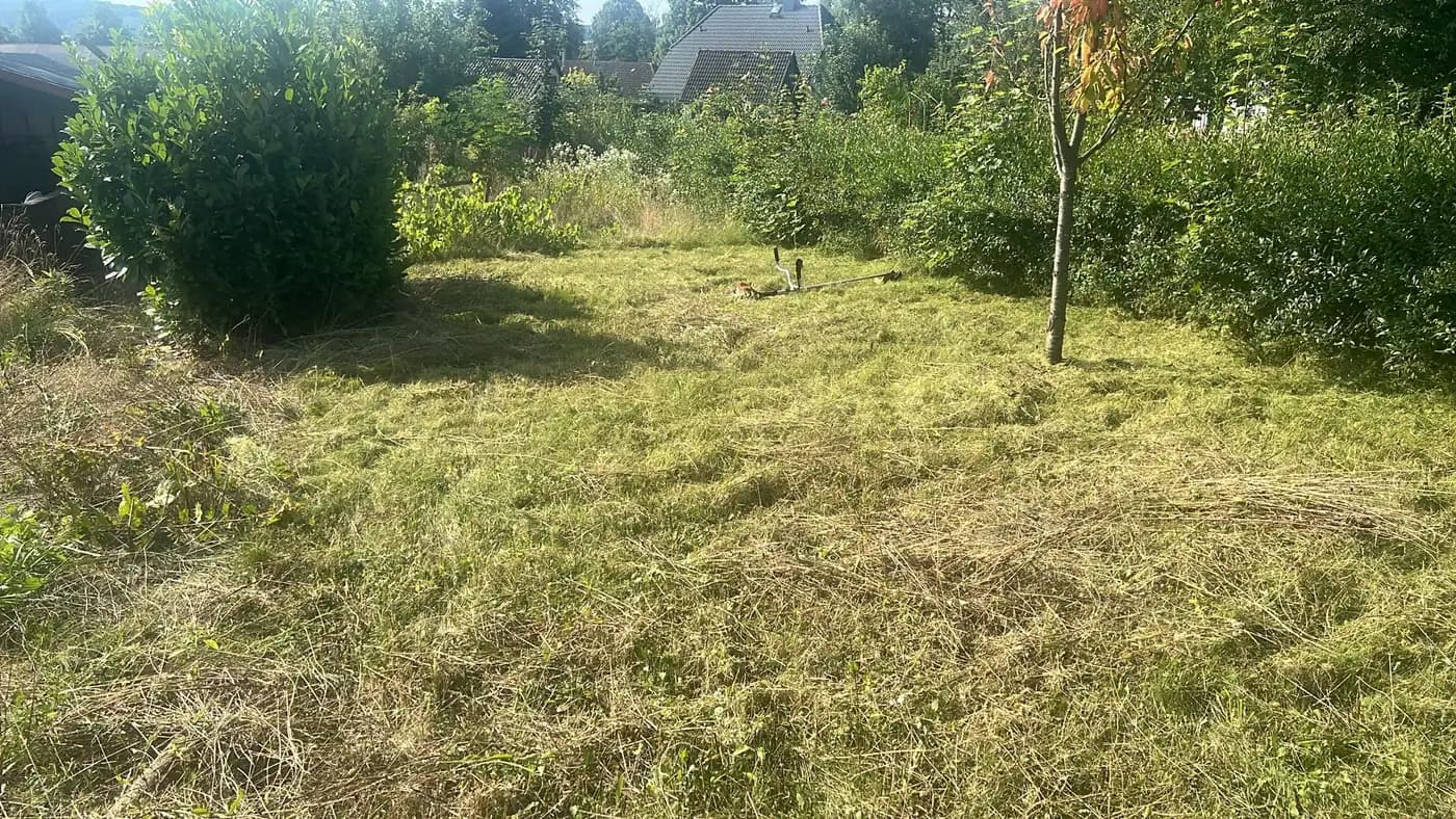 Verwilderte Parzelle gemäht — nachher