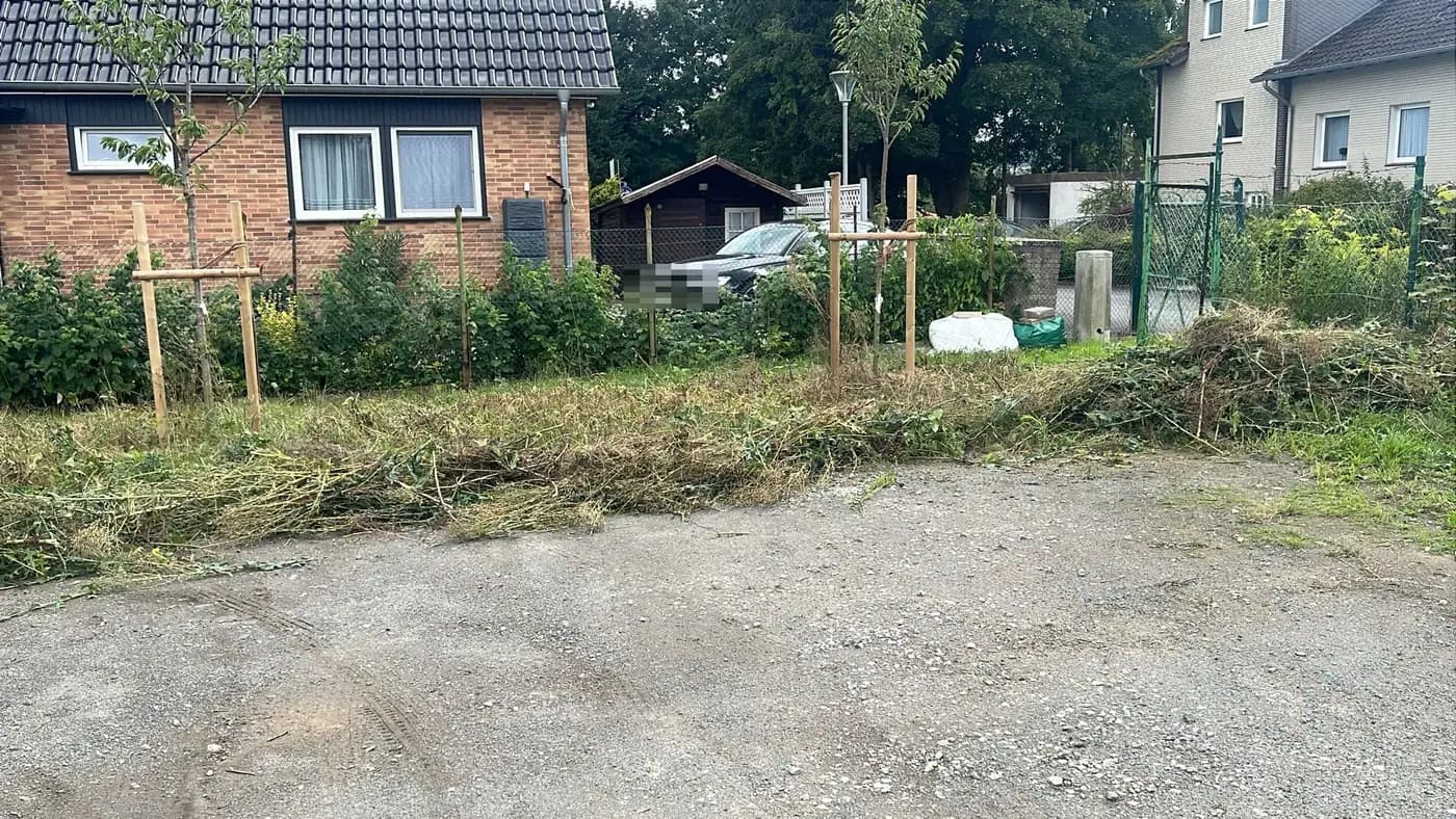 Stellplatz freigeschnitten — nachher