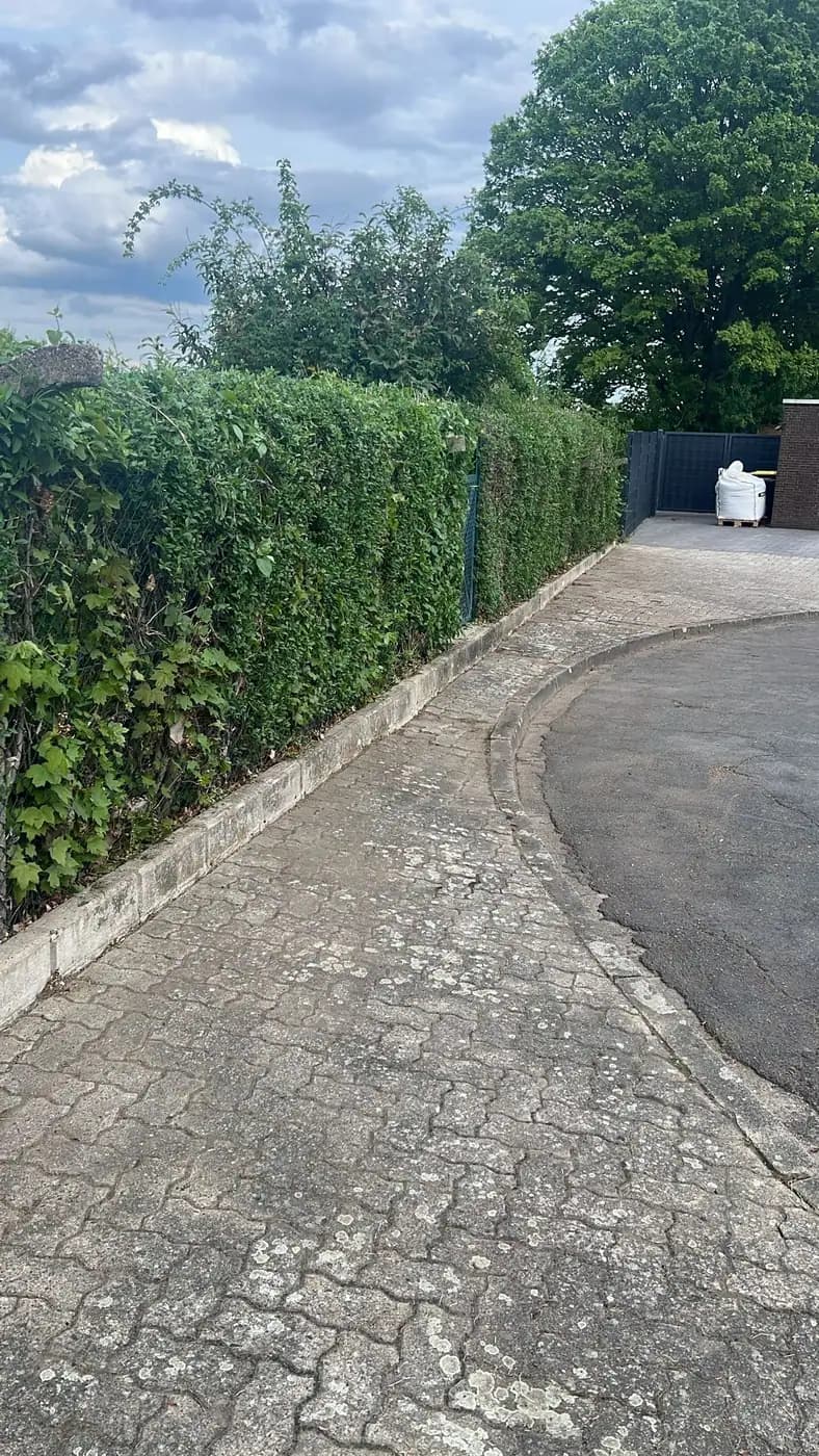 Freigeschnittene Zufahrt: Efeu zurückgenommen, Pflasterweg gekehrt