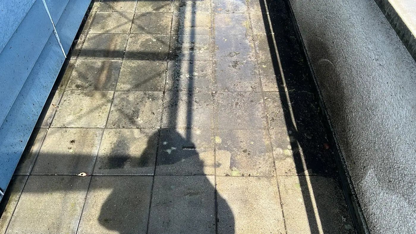 Dachterrasse entkrautet — nachher